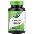 Холин, Choline, Nature's Way, 500 мг, 100 таблеток