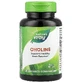 Холин, Choline, Nature's Way, 500 мг, 100 таблеток