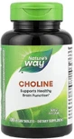 Холін, Choline, Nature's Way, 500 мг, 100 таблетки