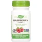 Красная малина (листья), Red Raspberry, Nature's Way, 900 мг, 100 капсул