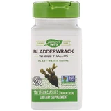 Ламинария, йод, Bladderwrack, Nature's Way, 580 мг, 100 капсул
