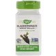 Ламінарія, йод, Bladderwrack, Nature's Way, 580 мг, 100 капсул
