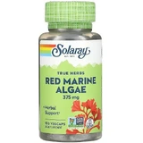Красные водоросли, Red Marine Algae, Solaray, 375 мг, 100 капсул