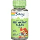 Червоні водорості, Red Marine Algae, Solaray, 375 мг, 100 капсул