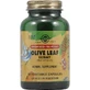 Екстракт листя оливи, Olive Leaf, Solgar, 60 вегетаріанських капсул