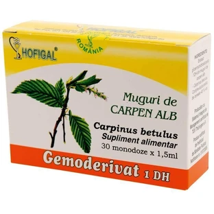 Бутоны белого граба Gemoderivat, 30 monooz, Hofigal