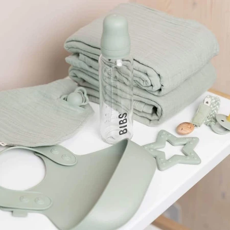 Пляшечка Bibs Baby Glass Bottle, скляна з гумовою соскою з повільним потоком, Шавлія, від народження, 110 мл: ціни та характеристики