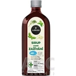 LEROS SIRUP GOOD DIGESTION 1×250 мл, сироп для поддержки пищеварения: цены и характеристики