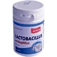 Apotheke Lactobacillus acidophilus 60 капсул