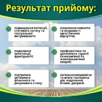 Золотий коник табл. №100 для потенції, для чоловіків: ціни та характеристики