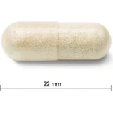 JAMIESON PROBIOTIC 60 BILLION ULTRA STRONGY 1×24 cps, суміш бактеріальних культур