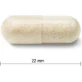 JAMIESON PROBIOTIC 60 BILLION ULTRA STRENGTH 1×24 cps, смесь бактериальных культур