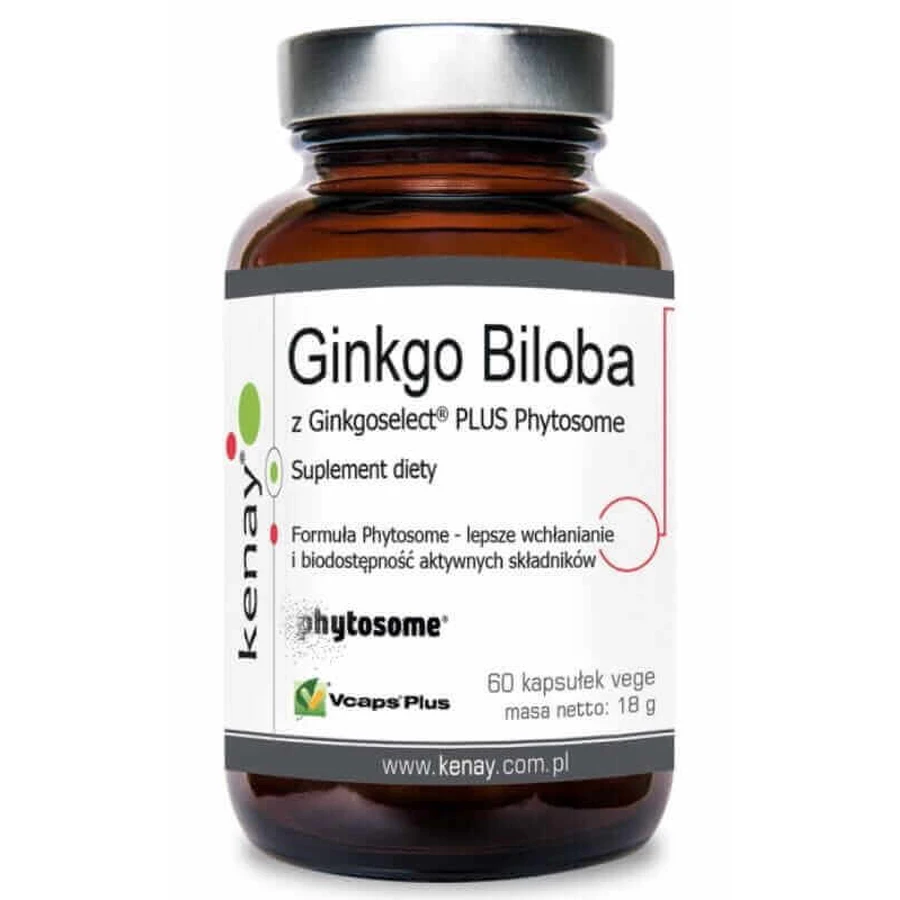 Гінкго білоба з фітосомами Ginkgoselect 60 капсул, Кенія: ціни та характеристики