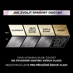 L'Oréal Paris Préférence Vivid Colors стійка фарба для волосся 9.112 Camden Town 150 мл: ціни та характеристики