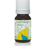 HANUS SILICA TEA TUBE 1×10 мл, олія: ціни та характеристики
