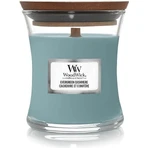 WoodWick Small Evergreen Cashmere 1×85 г, ароматична свічка: ціни та характеристики