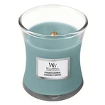 WoodWick Small Evergreen Cashmere 1×85 г, ароматична свічка: ціни та характеристики