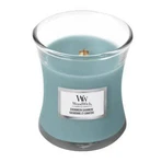 WoodWick Small Evergreen Cashmere 1×85 г, ароматична свічка: ціни та характеристики