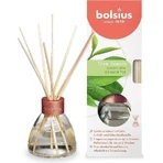 Ароматичні палички Bolsius Aromatic 2.0 Diffuser Green Tea 1×45 мл, ароматизатор для квартири: ціни та характеристики
