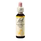 Квітковий засіб Грабові краплі Hornbeam Original Bach, 20 мл, Rescue Remedy