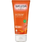 WELEDA Арника гель для душа 1×200 мл, гель для душа: цены и характеристики