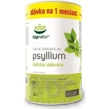 Топнатур PSYLLIUM FIBER коробка 1×300 г, пищевая добавка