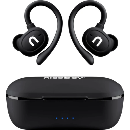 Niceboy HIVE Airsport 3 PRO: цены и характеристики