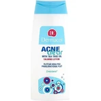 DERMACOL ACNECLEAR Skin Water 1×200 мл, вода для кожи: цены и характеристики