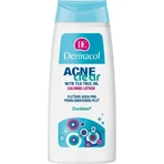 DERMACOL ACNECLEAR Skin Water 1×200 мл, вода для кожи: цены и характеристики
