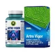 Artro Vigor, 60 капсул, звіробій