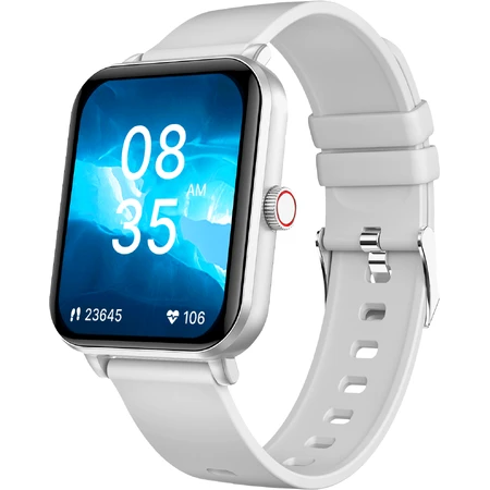 Niceboy Watch Lite 4 Arctic Silver: цены и характеристики