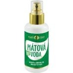 Purity Vision Квіткова вода м'ята BIO 100 мл: ціни та характеристики