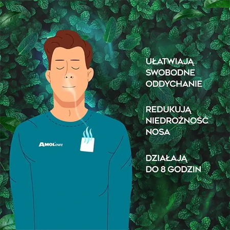 Ароматичні скибочки "Амол", 5 штук: ціни та характеристики