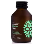 Органічний ферментований чай з пробіотиками Kombucha Shot Relax, 100 мл, Vigo: ціни та характеристики