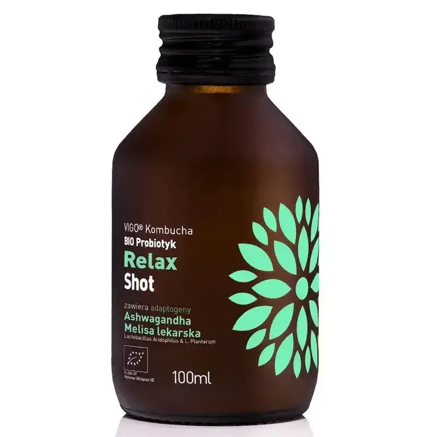 Органічний ферментований чай з пробіотиками Kombucha Shot Relax, 100 мл, Vigo: ціни та характеристики