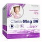 Chela-Mag B6 Junior, Хела-Маг B6 для дітей віком від 3 років, 5 г x 15 пакетиків