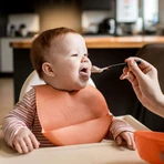 Нагрудник Tommee Tippee, 6м+, зелений або помаранчевий: ціни та характеристики