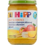 HIPP BIO Фруктовая каша с цельнозерновыми злаками 1×190 г, стартер, 6м+: цены и характеристики