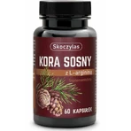 Skoczylas Сосновая кора с аргинином 60 капсул: цены и характеристики