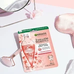 Текстильна маска Garnier Skin Naturals з пробіотичними фракціями 22 г: ціни та характеристики