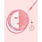 Текстильна маска Garnier Skin Naturals з пробіотичними фракціями 22 г: ціни та характеристики