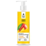 Botanic Origin, шампунь с манго и кератином, 300 мл
