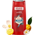 Old Spice Deep Sea XXLLL 3 в 1 Гель для душа и ампулы 675 мл: цены и характеристики