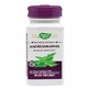 Андрографіс SE Nature's Way, 60 капсул, Secom