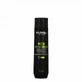 Шампунь проти лупи для шкіри голови Goldwell Dual Senses 300 мл