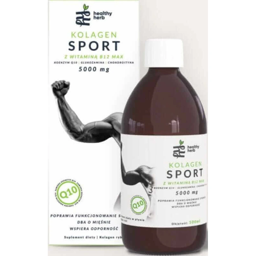 Колаген Sport з вітаміном B12 max - 500мл Healthy Herb: ціни та характеристики