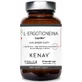 L-ерготіонеїн ErgoElite 60 вег капсул Kenay