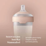 Пляшечка Lovi Mammafeel 21/595 150мл: ціни та характеристики