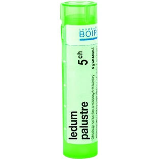 Boiron Ledum Palustre CH5 гранули 4 г