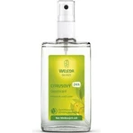 WELEDA Цитрусовий дезодорант 1×200 мл, дезодорант, флакон, без розпилювача: ціни та характеристики